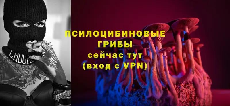 Галлюциногенные грибы MAGIC MUSHROOMS  KRAKEN tor  Красногорск  как найти закладки 